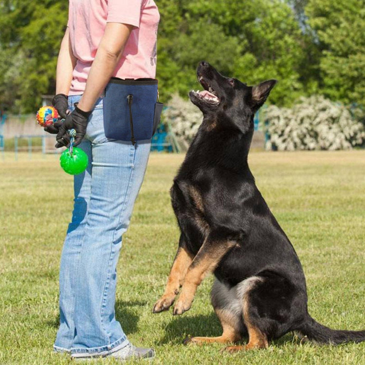 Multipurpose Dog Treat Pouch - Pawzopaws