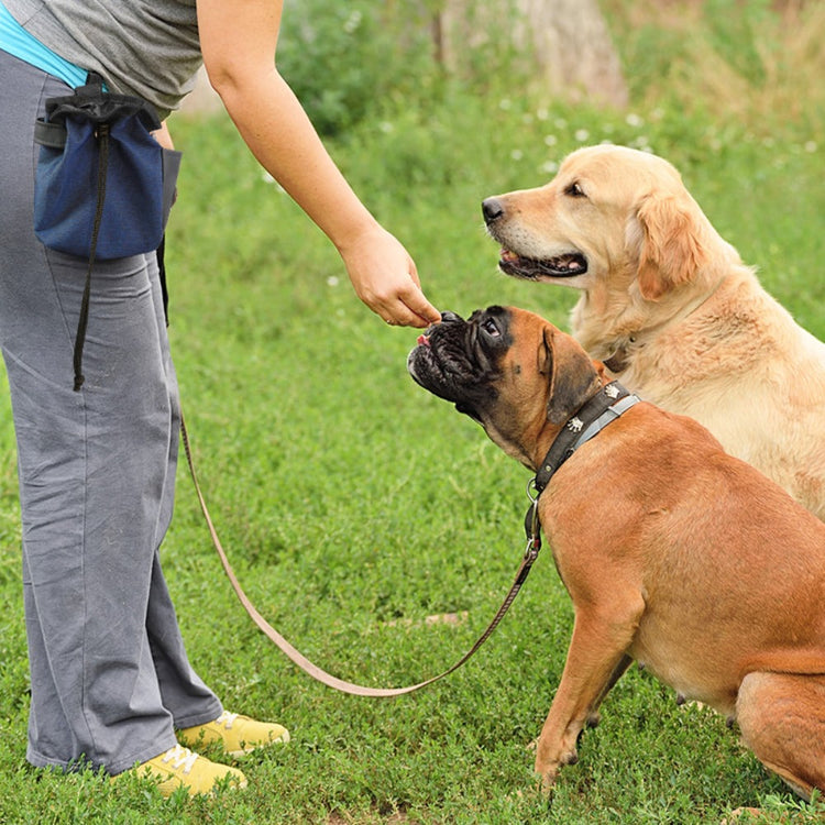Multipurpose Dog Treat Pouch - Pawzopaws