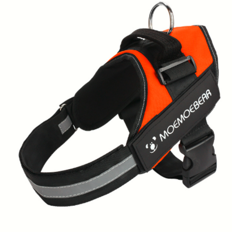 πβπ¦Ί Personalized Reflective Pet Harness - Pawzopaws