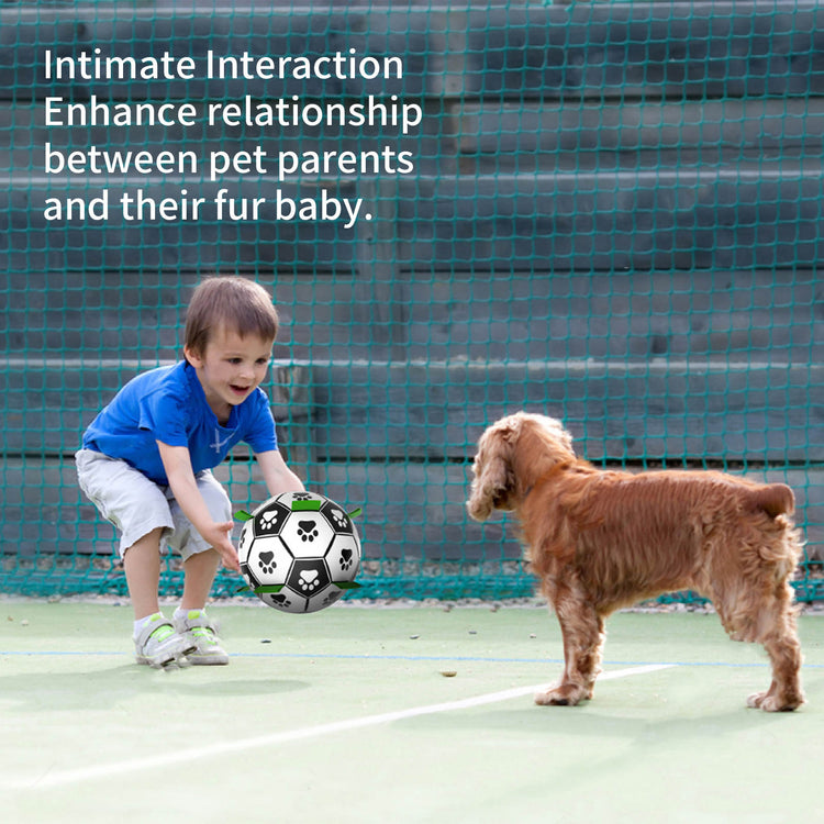 Interactive Dog Soccer Ball - Pawzopaws