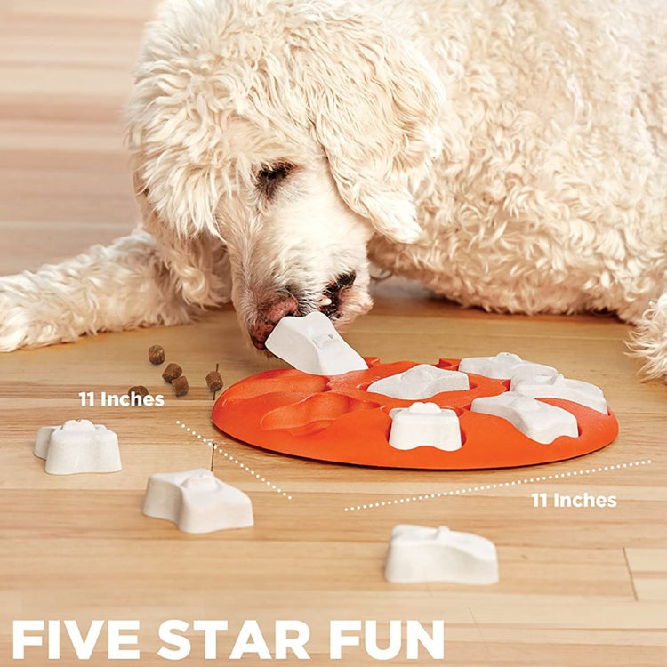 Smart Puzzle - OUTWARD HOUND - Dog Game - Pawzopaws