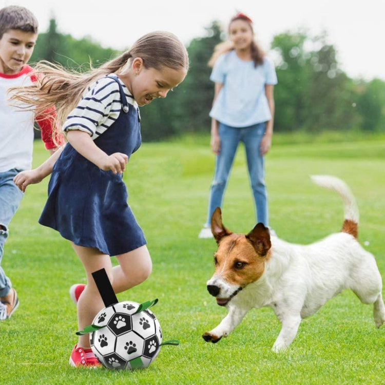 Interactive Dog Soccer Ball - Pawzopaws