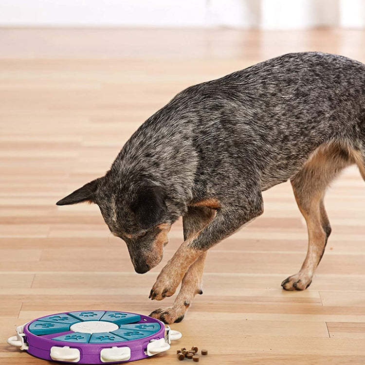 Puzzle Twister Dog - OUTWARD HOUND - Pawzopaws