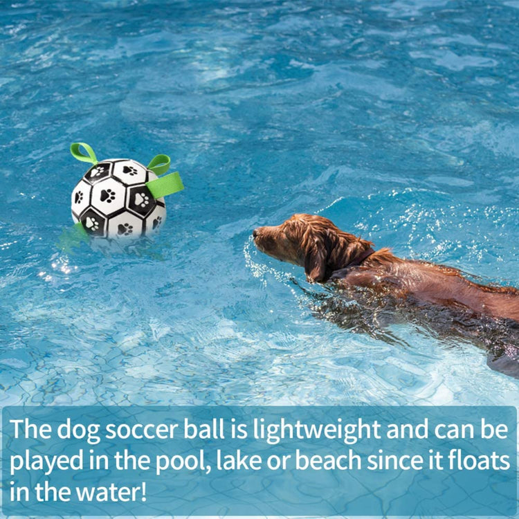 Interactive Dog Soccer Ball - Pawzopaws