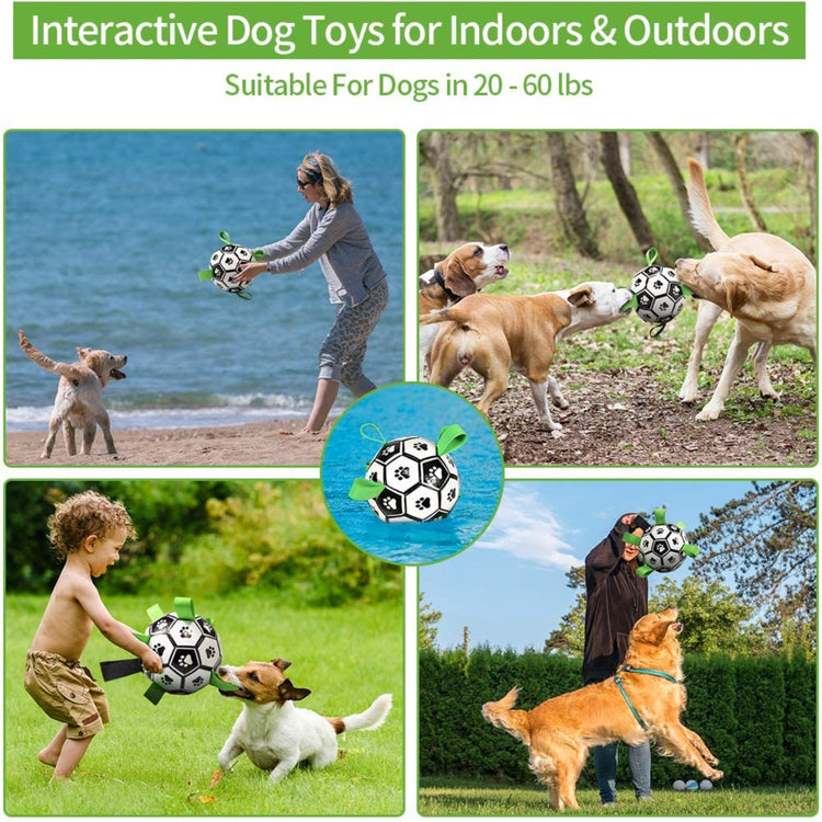Interactive Dog Soccer Ball - Pawzopaws