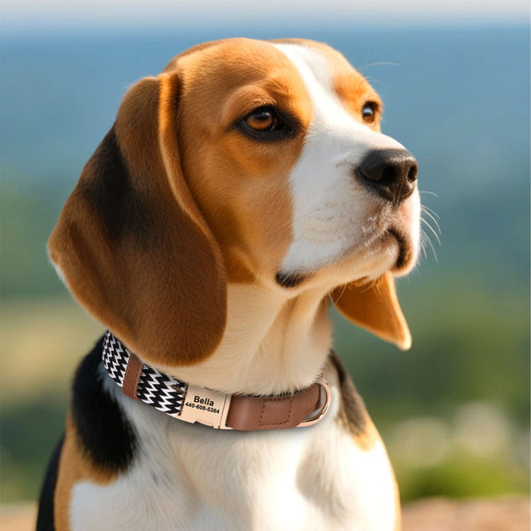 Personalized Nylon & Genuine Leather Dog Collar - Pawzopaws