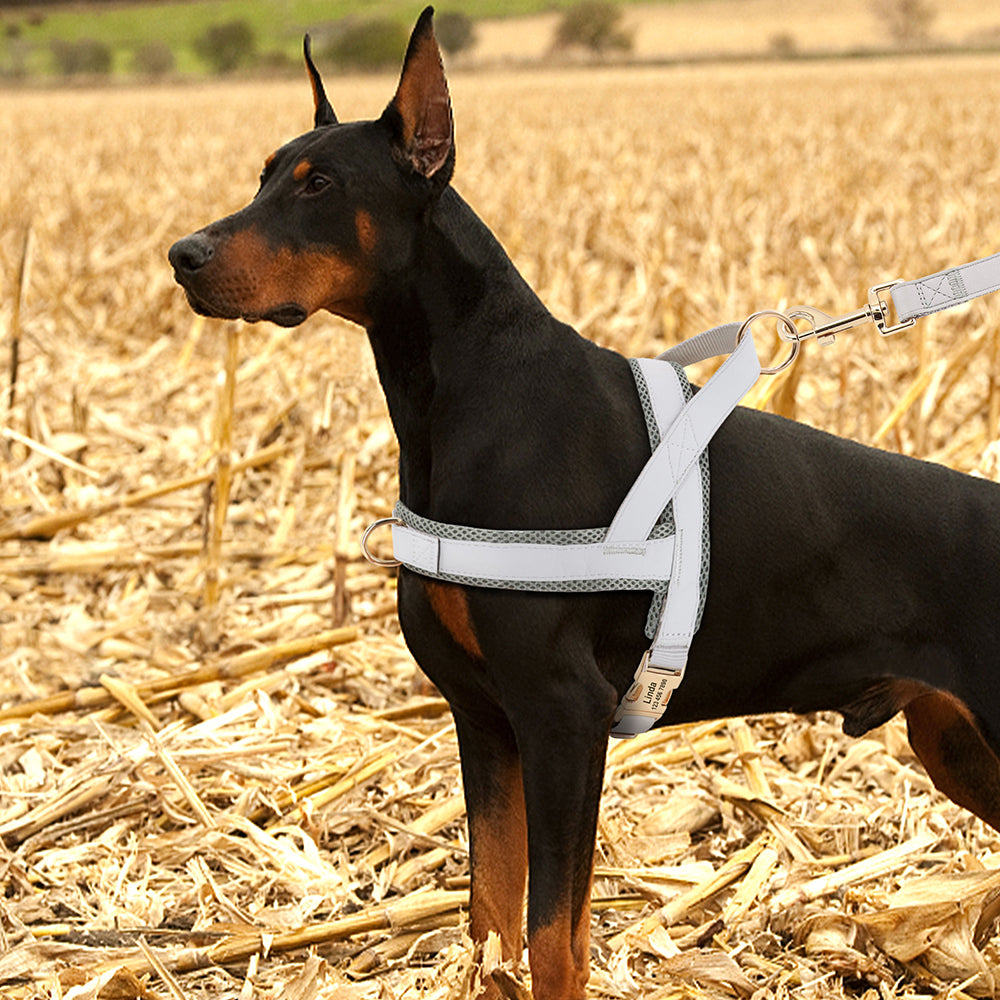 Leather no pull dog clearance harness