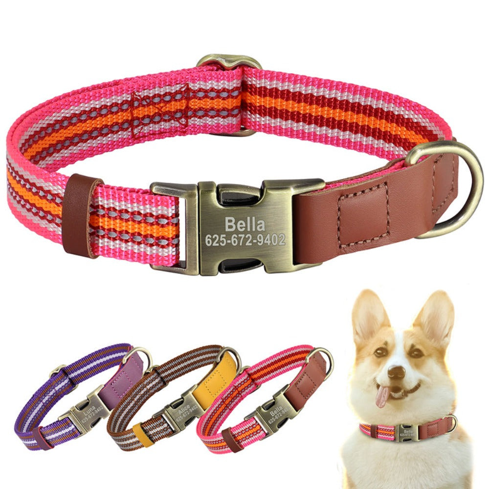 Personalized Reflective Nylon Dog Vegan Leather Collar - Pawzopaws