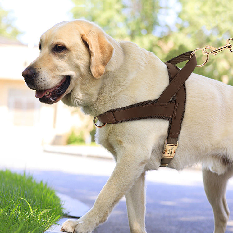 Tactical Harness Non-Pull Dog Harnesses for sale
