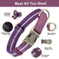 Personalized Reflective Nylon Dog Vegan Leather Collar - Pawzopaws