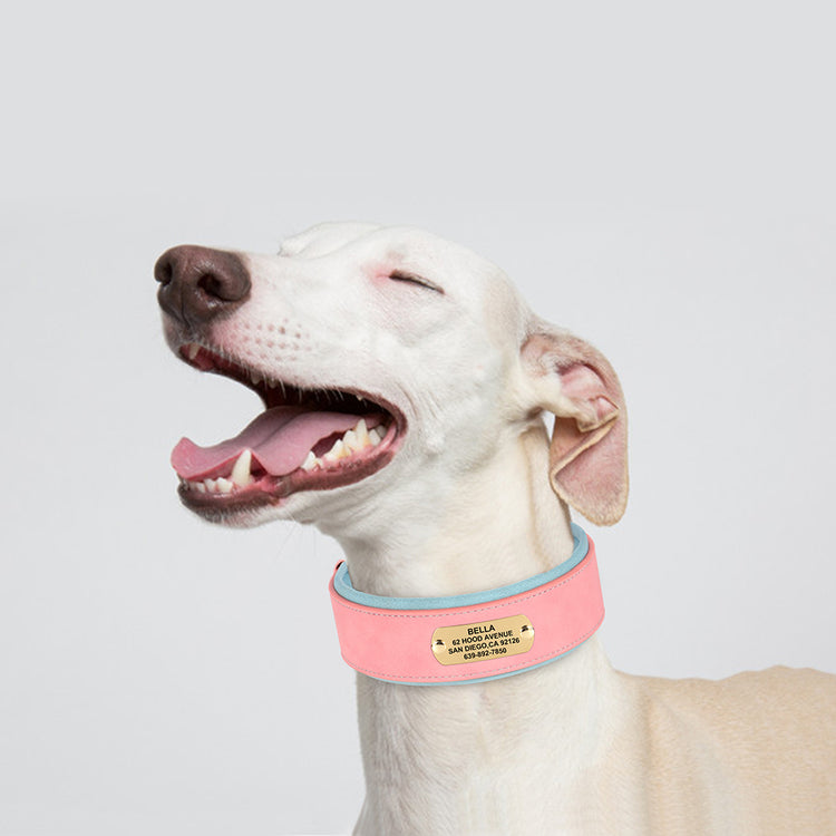 Soft Wide PU leather Personalized Dog Collar - Pawzopaws