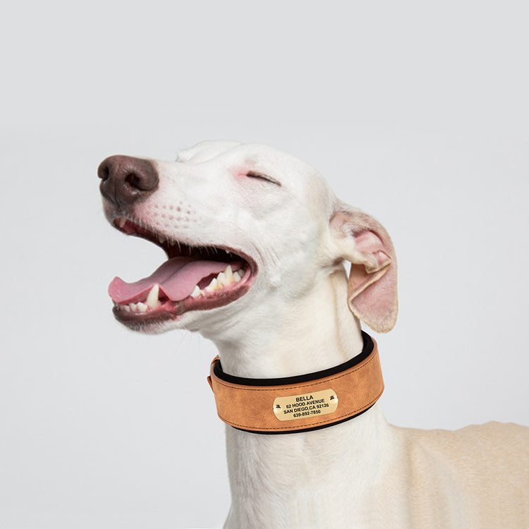 Soft Wide PU leather Personalized Dog Collar - Pawzopaws