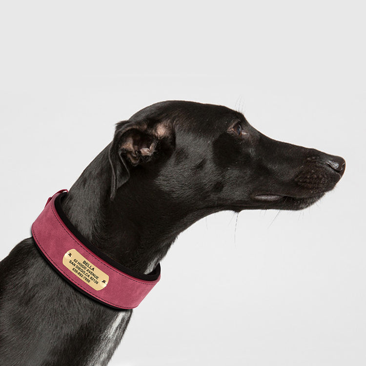 Soft Wide PU leather Personalized Dog Collar - Pawzopaws