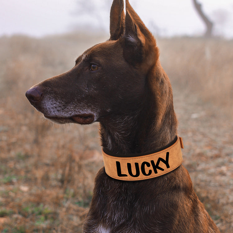 Soft Wide PU leather Personalized Dog Collar - Pawzopaws