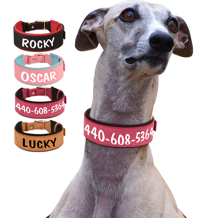 Soft Wide PU leather Personalized Dog Collar - Pawzopaws