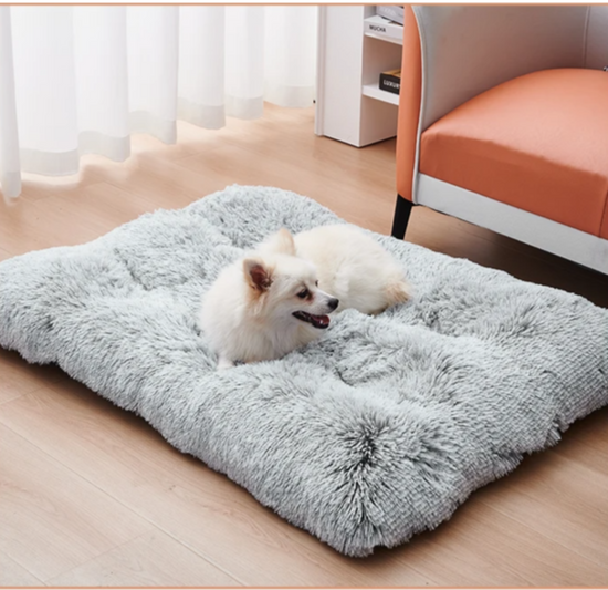 Washable Dog Bed & Mat - Pawzopaws