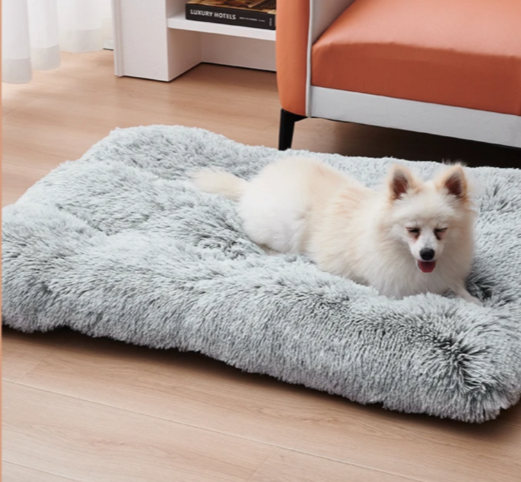 Washable Dog Bed & Mat - Pawzopaws