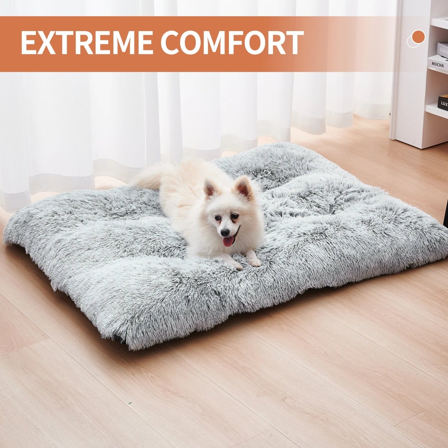 Washable Dog Bed & Mat - Pawzopaws