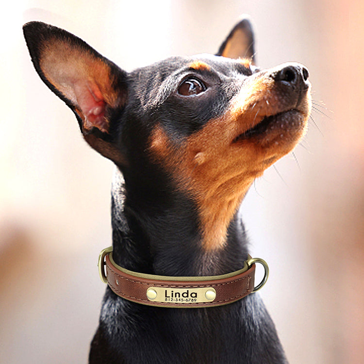 Customized Leather ID Nameplate Dog Collar Soft Padded Dogs Collars Free Engraving Name for Small Medium Large Dogs Adjustable - Pawzopaws