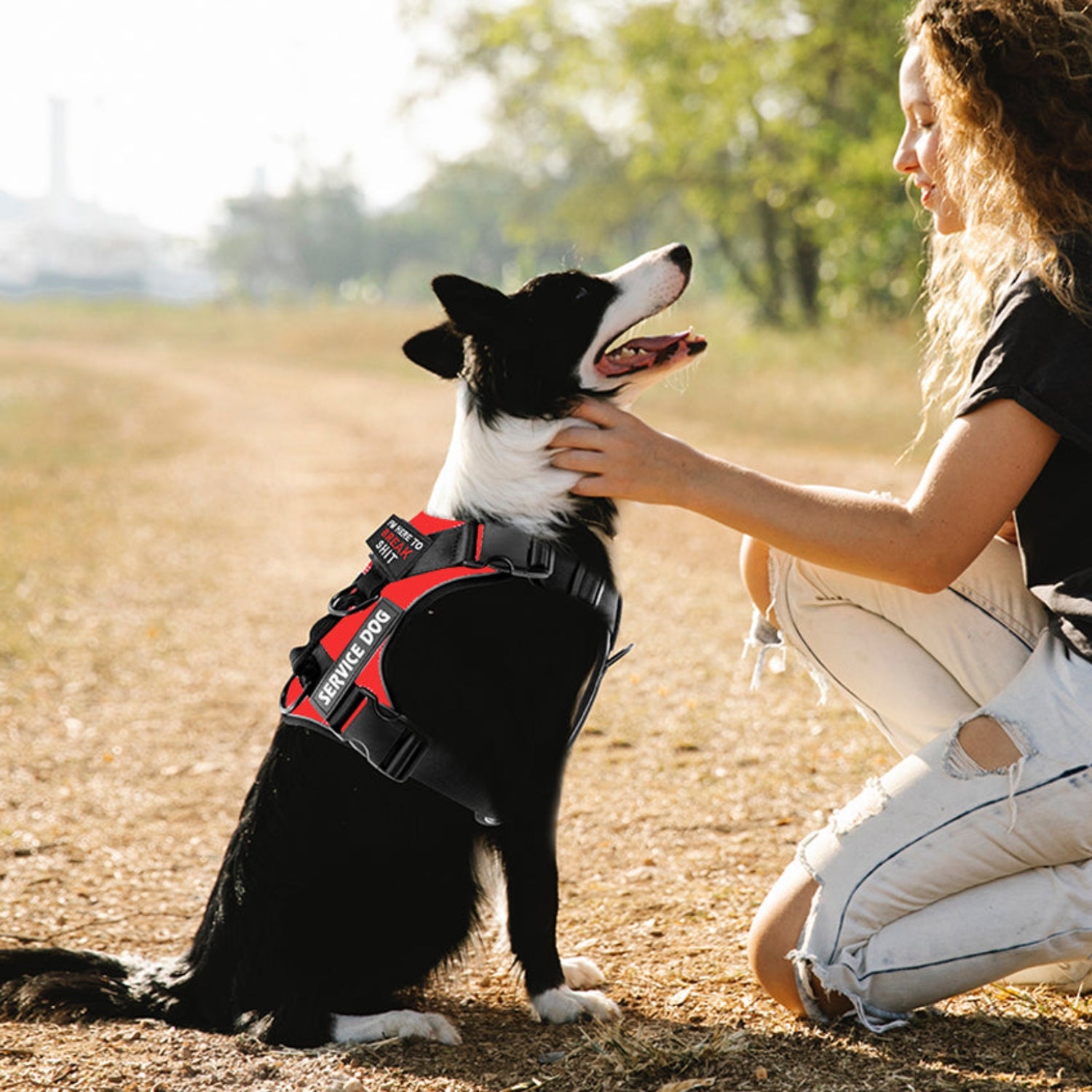 Service/In-Training Reflective Dog Harness - Pawzopaws