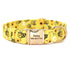 Personalized Spring Dog Collar - Pawzopaws