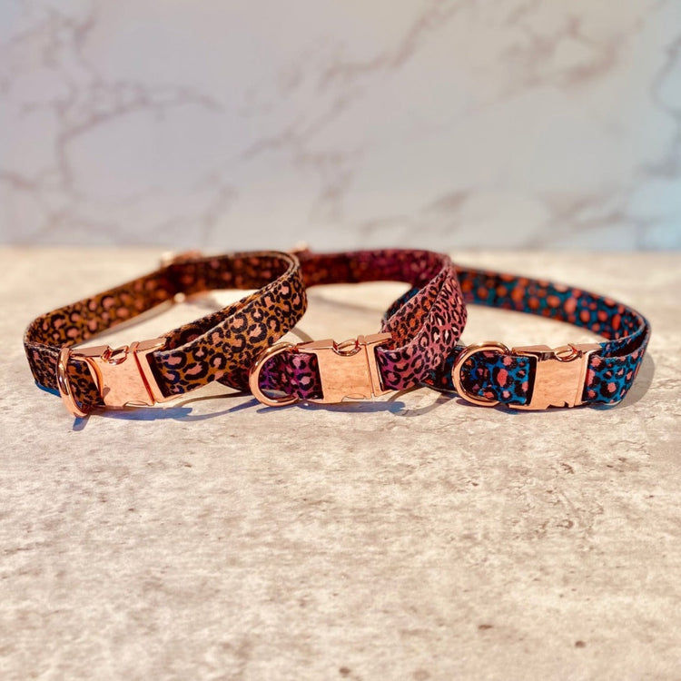 Animal Print Collar - Small & Medium Dogs - Pawzopaws