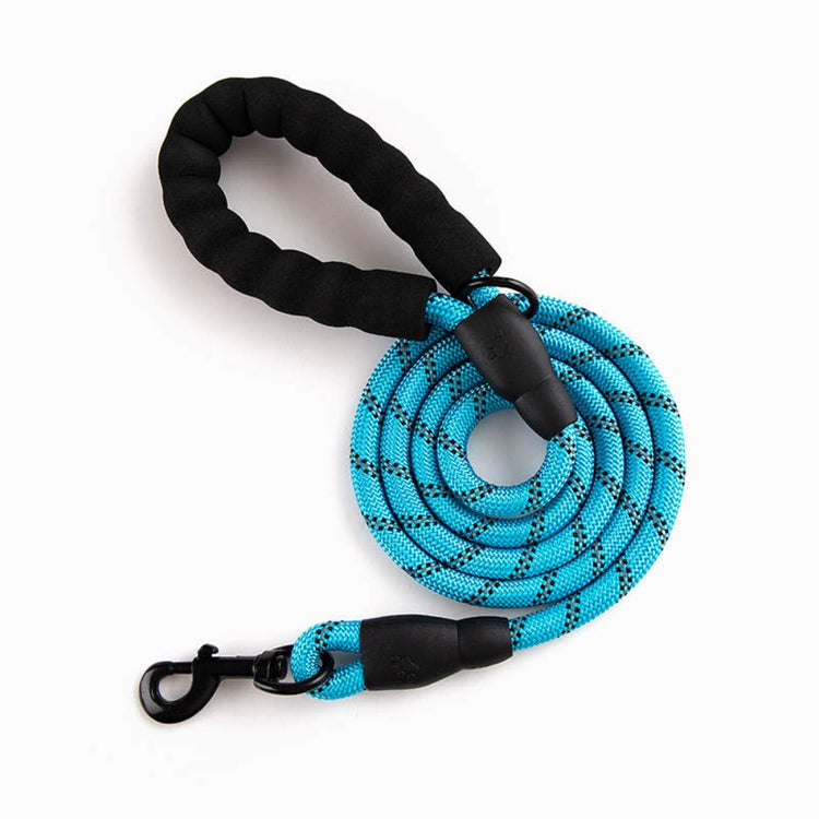 Reflective Dog Leash w/Poop Bag Dispenser - Pawzopaws