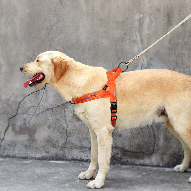 Personalized Nylon Reflective Dog Harness - Pawzopaws