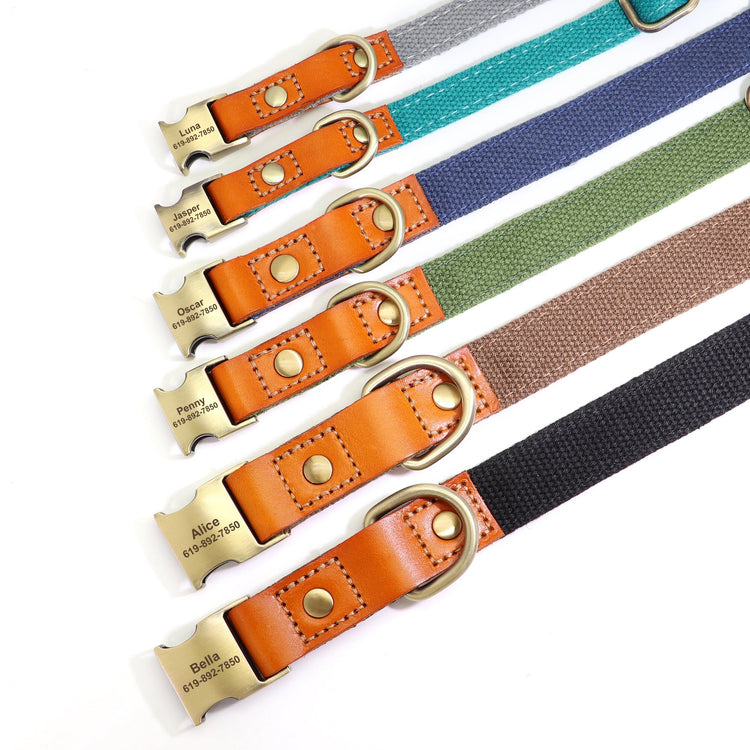 Personalized Dog Collar Nylon & PU Leather - Pawzopaws