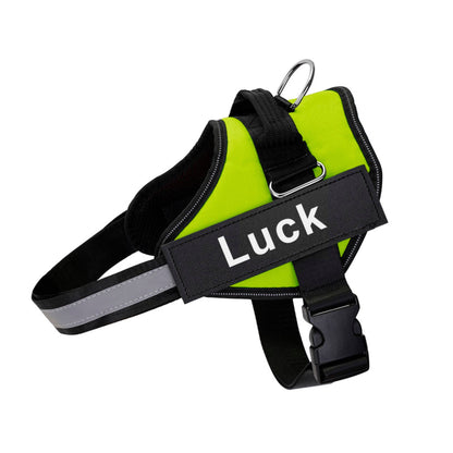 🐕‍🦺 Personalized Reflective Pet Harness - Pawzopaws