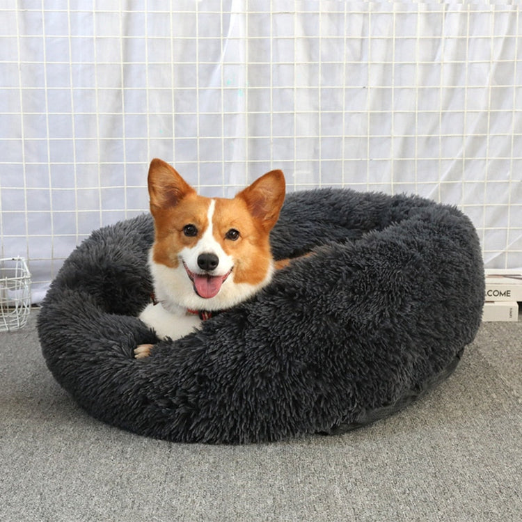 Donut Dog/Cat Bed - Pawzopaws