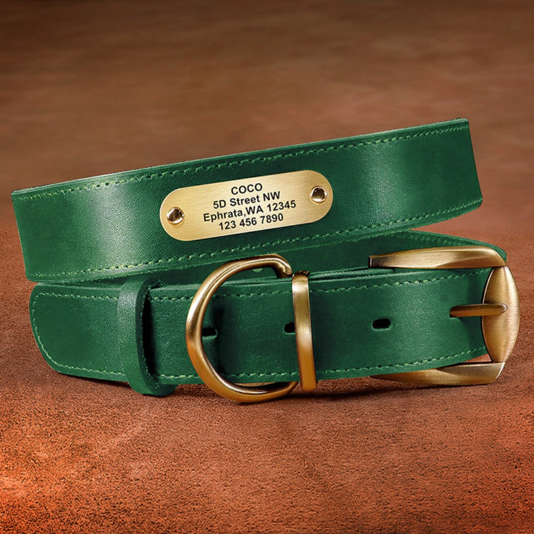 Personalized leather collar w/ gold buckle - Pawzopaws