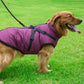 Waterproof Dog Jacket/Harness - Pawzopaws