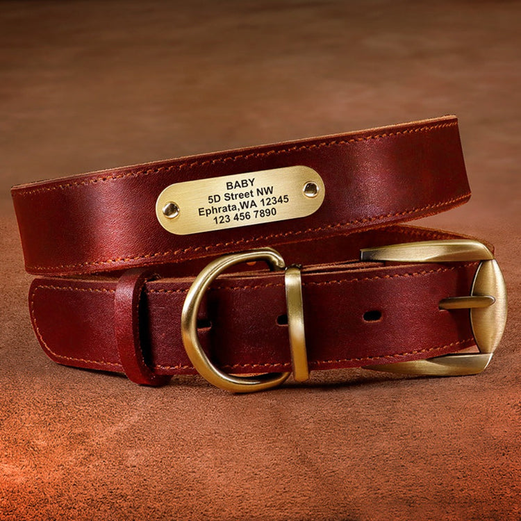 Personalized leather collar w/ gold buckle - Pawzopaws