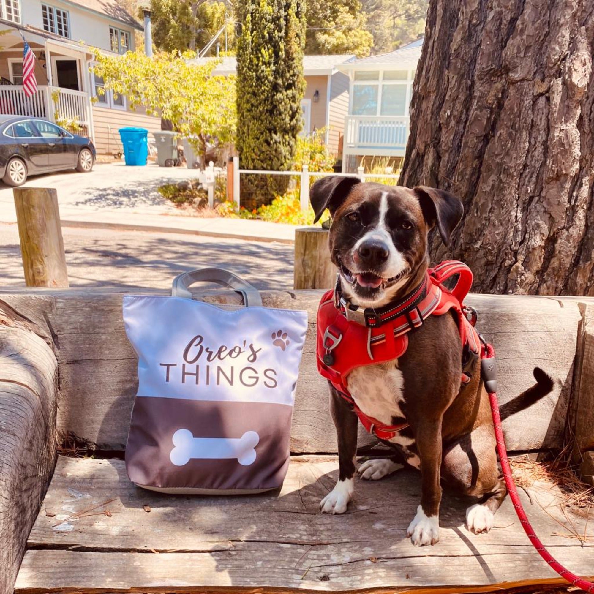 Personalized dog hot sale carrier bags