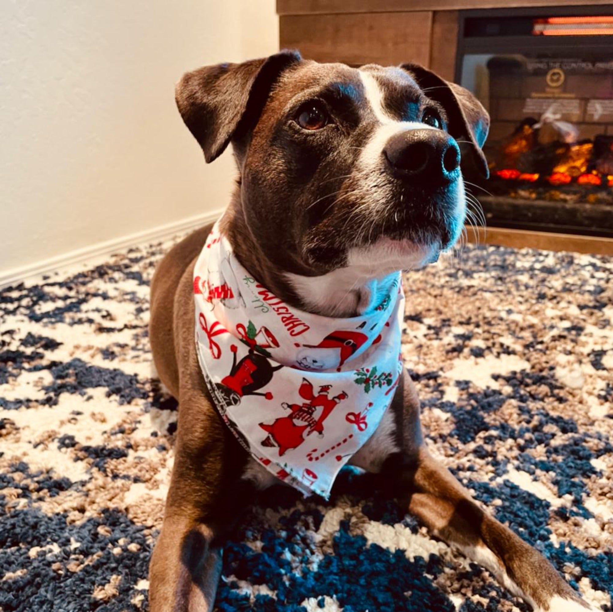 Dog 2024 christmas bandana