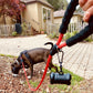 Reflective Dog Leash w/Poop Bag Dispenser - Pawzopaws