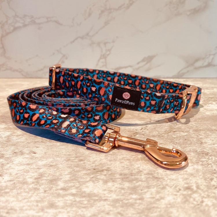 Holiday Gift Box - Animal Print Dog Collar & Set - Pawzopaws