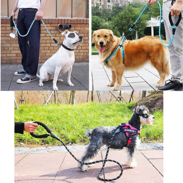 Reflective Dog Leash w/Poop Bag Dispenser - Pawzopaws