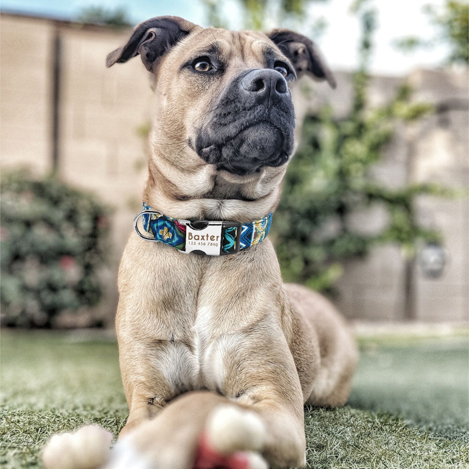 Personalized Bohemian Nylon Dog Collar - Pawzopaws