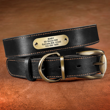 Personalized leather collar w/ gold buckle - Pawzopaws