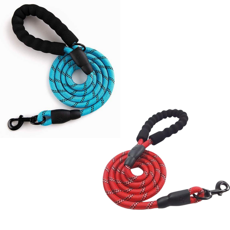 Reflective Dog Leash w/Poop Bag Dispenser - Pawzopaws