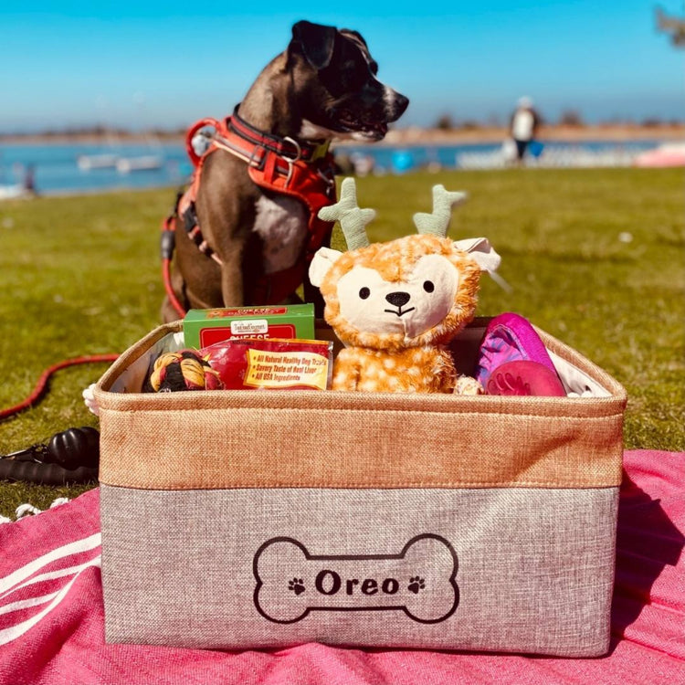 Personalized Foldable Organizer Basket for Pets - Pawzopaws