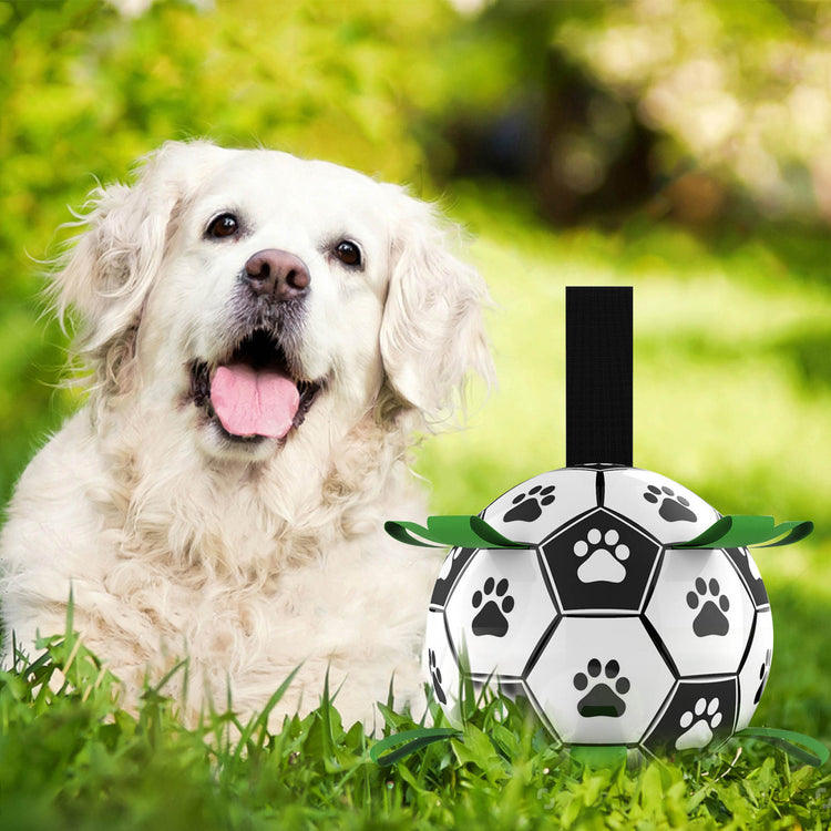 Interactive Dog Soccer Ball - Pawzopaws