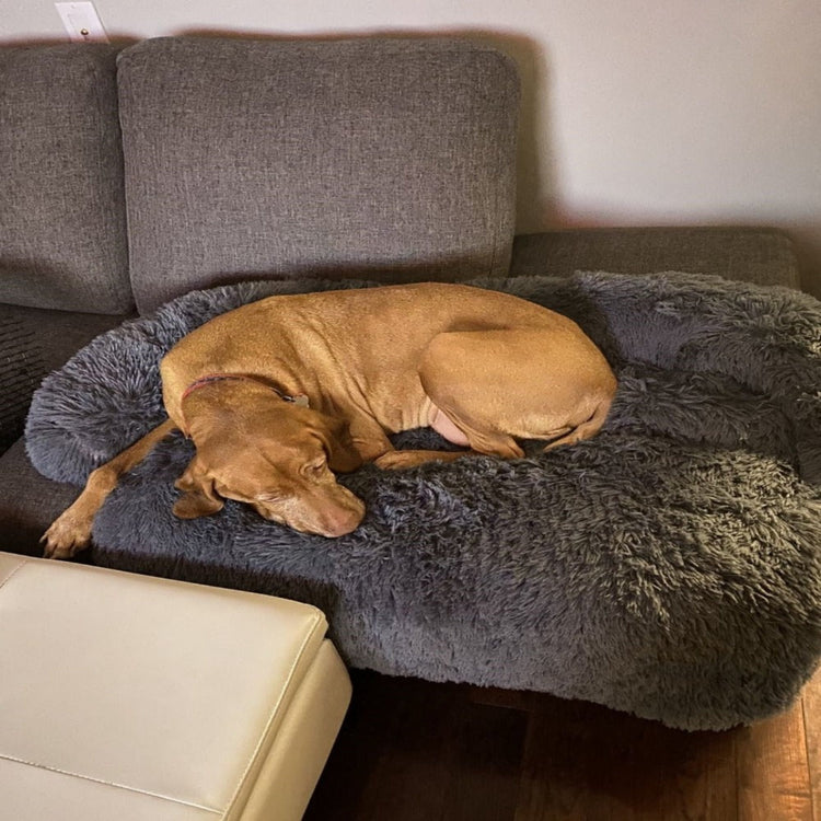 Winter Sofa Bed/Mat For Pets - Pawzopaws