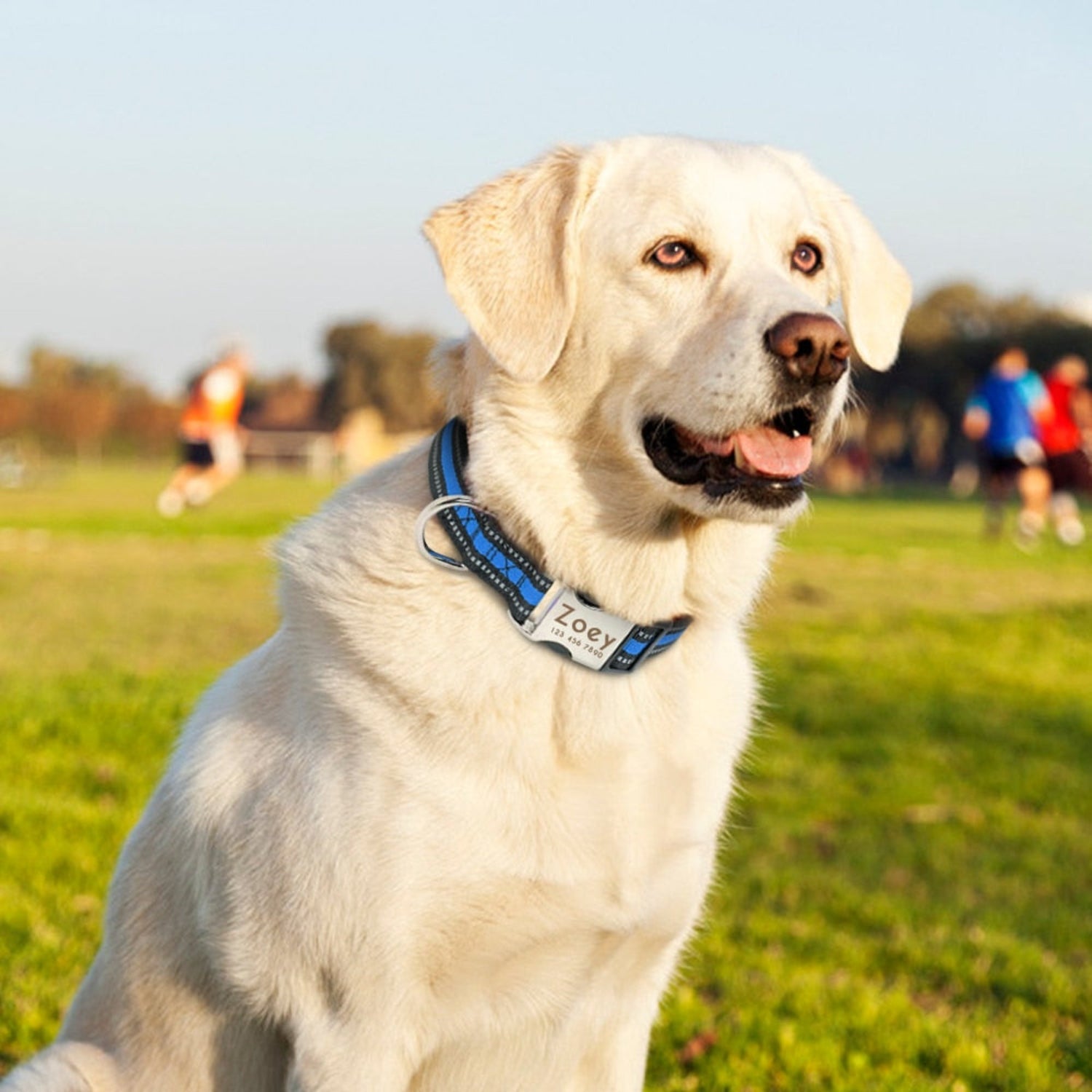 Personalized Bohemian Nylon Dog Collar- Pawzopaws