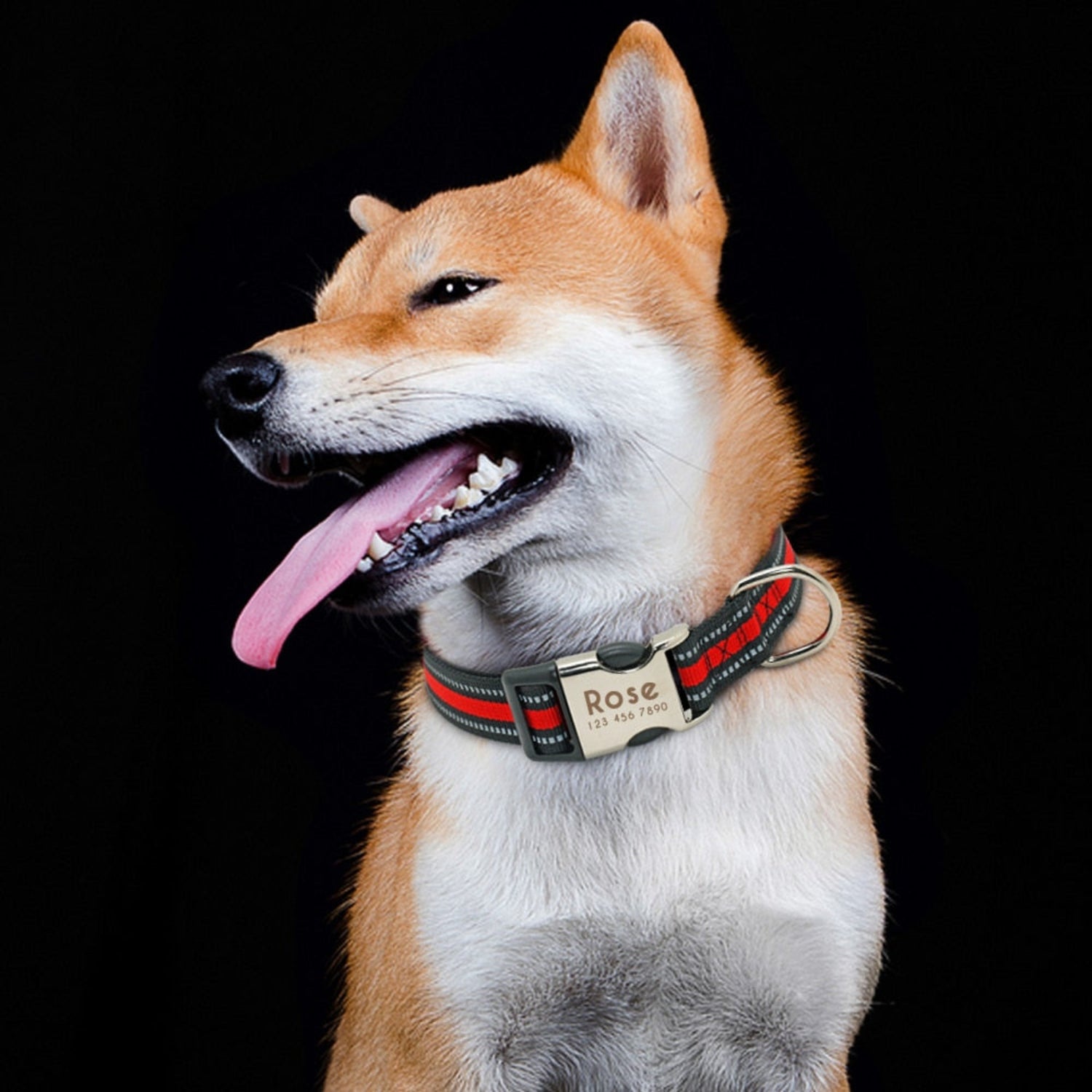 Personalized Nylon Collar Pet Reflective - Pawzopaws